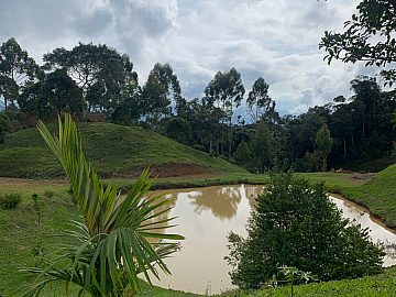 Ch�cara Chapad�o